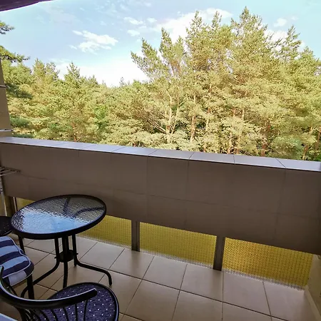 Sea And Forest Escape