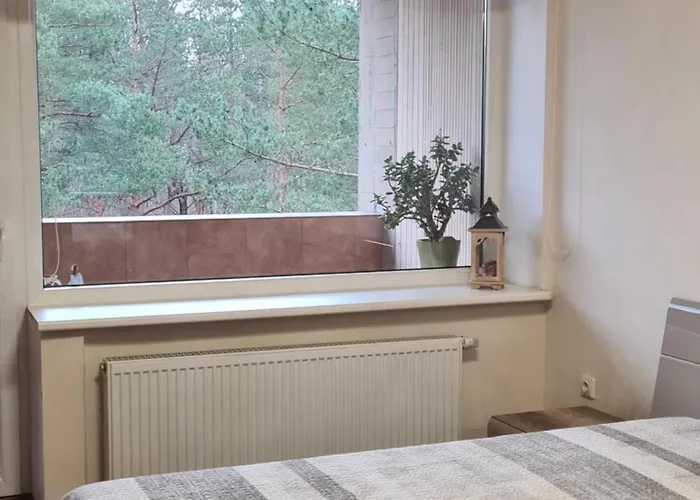 Sea And Forest Escape * פלאנגה